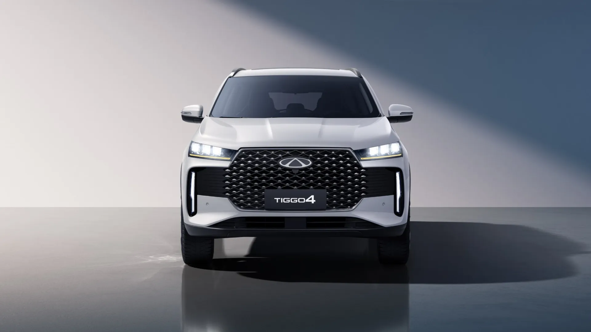 Характер тигра в деталях