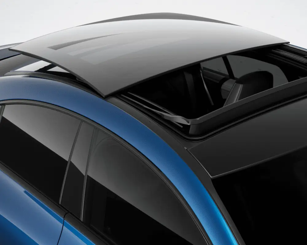 Світло і свобода