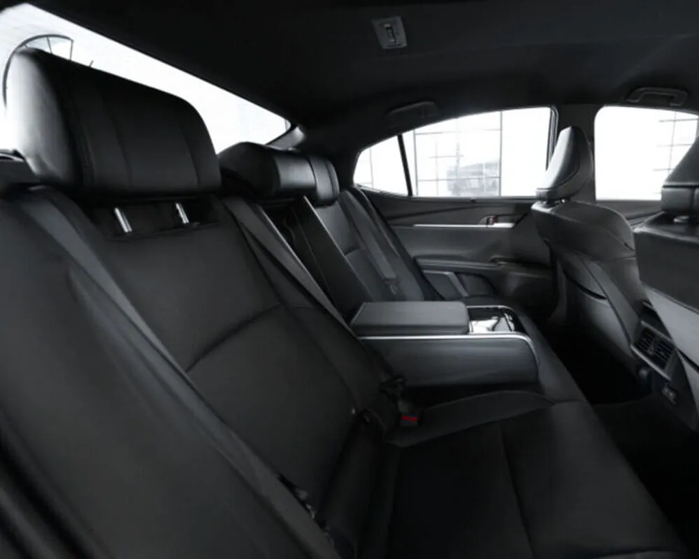 Окрема увага заднім сидінням