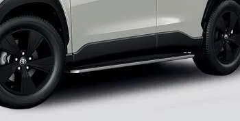 Декоративні пороги