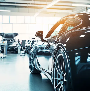 Розвиток галузі