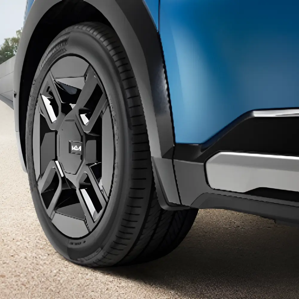 Бризговики задні