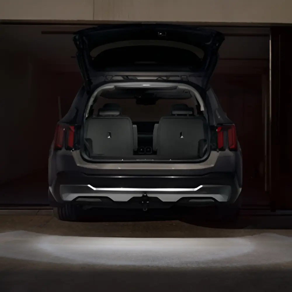 Підсвітка навколо багажника
