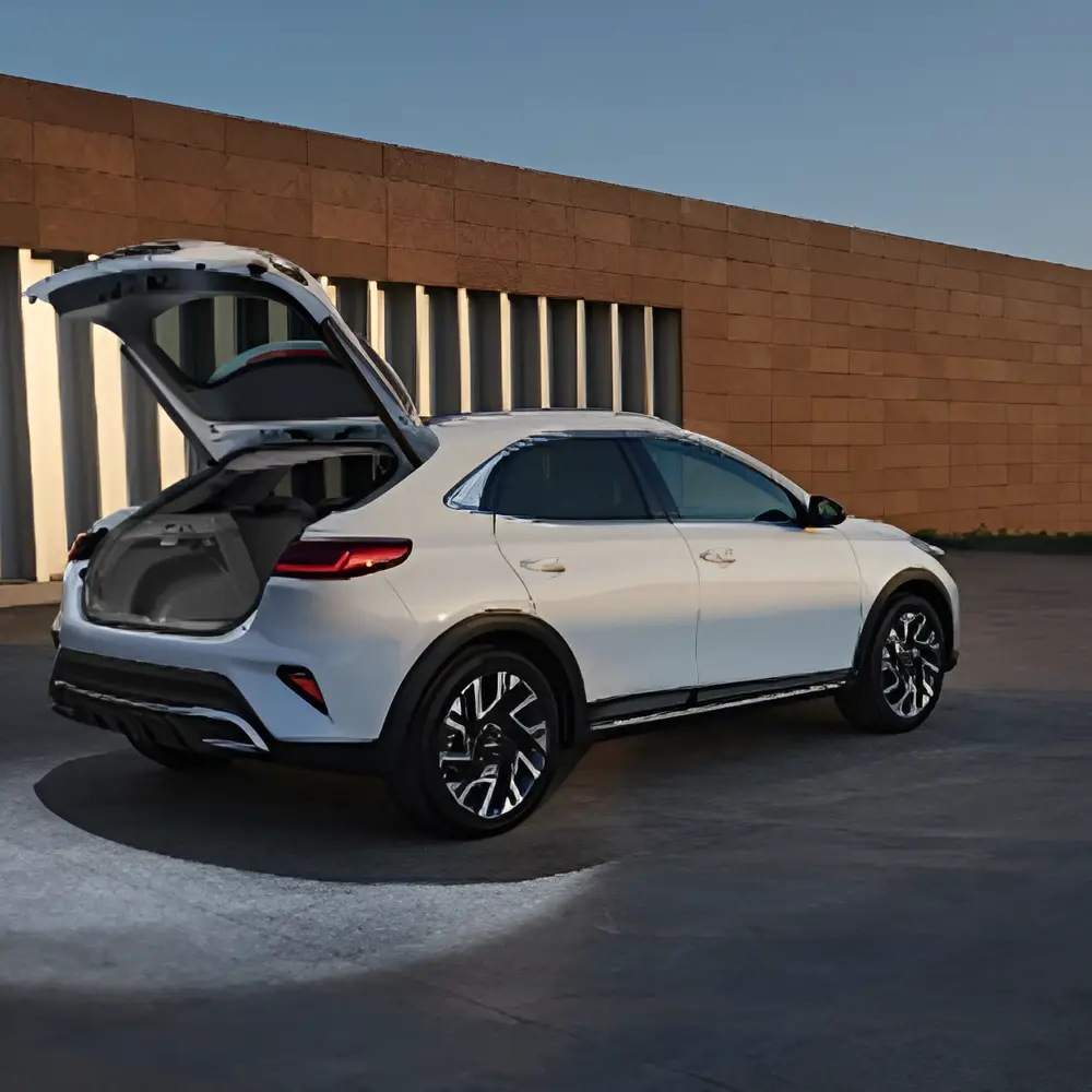 Підсвітка навколо багажника